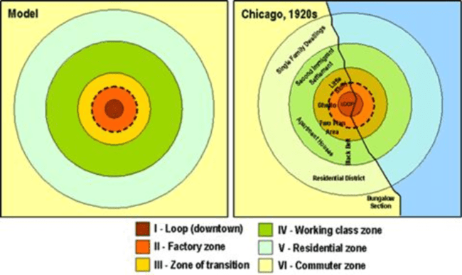 Burgess's concentric model of urban geography.