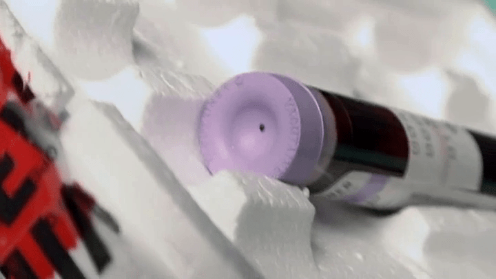 vlcsnap-2016-01-09-13h23m19s390